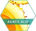 Asiatic Acid used in Shunly Skincare Fusion Formula